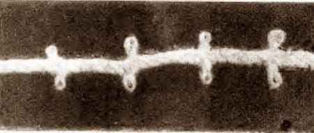 Коклюшки. Основные приемы плетения