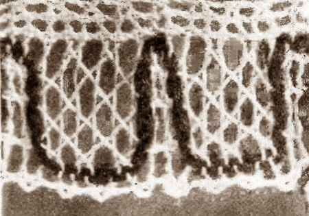 Коклюшки. Кружево-край