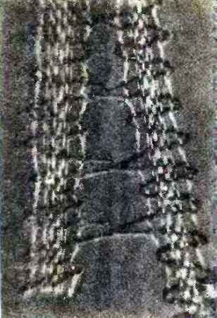 Коклюшки. Галстук