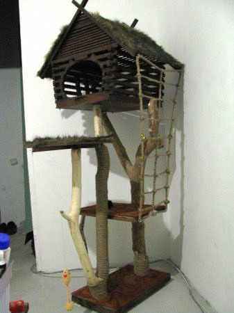 Дом для кота