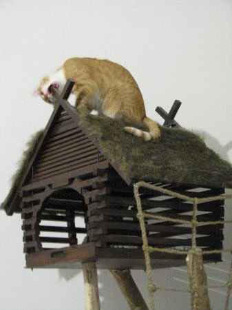 Дом для кота