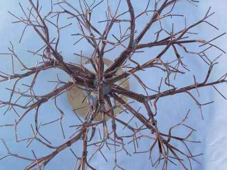 Мастер-класс. Деревья из морских ракушек.