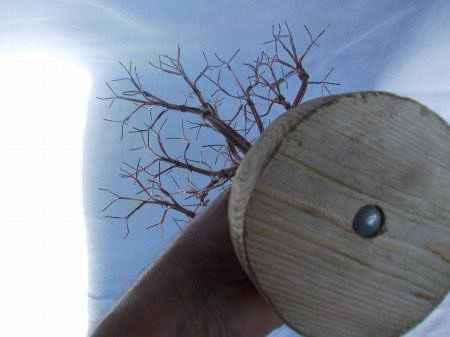 Мастер-класс. Деревья из морских ракушек.