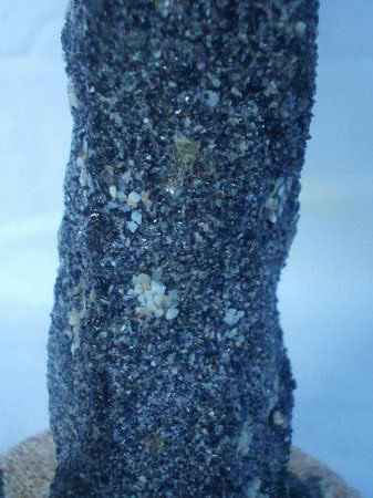 Мастер-класс. Деревья из морских ракушек -2