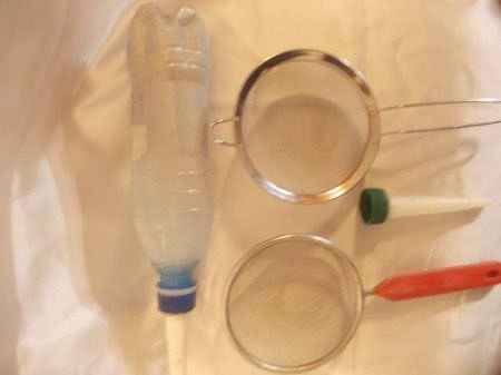 Мастер-класс. Деревья из морских ракушек -2