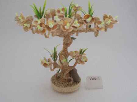 Мастер-класс. Деревья из морских ракушек.