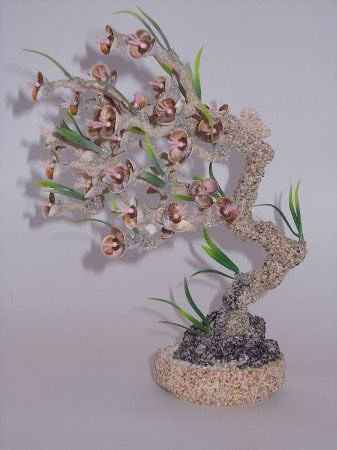 Мастер-класс. Деревья из морских ракушек.