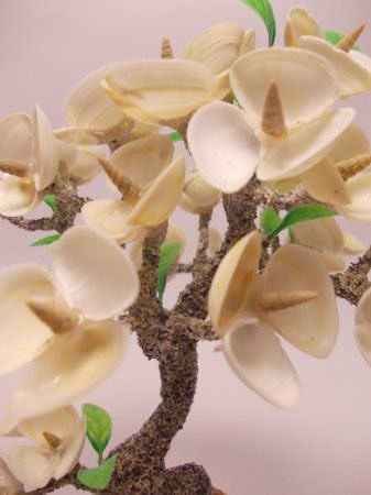 Мастер-класс. Деревья из морских ракушек.