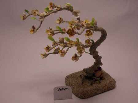 Мастер-класс. Деревья из морских ракушек.