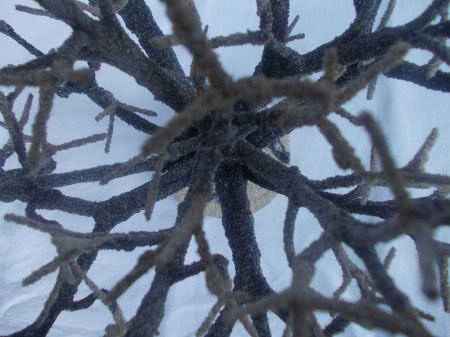 Мастер-класс. Деревья из морских ракушек -2