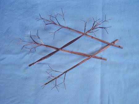 Мастер-класс. Деревья из морских ракушек.