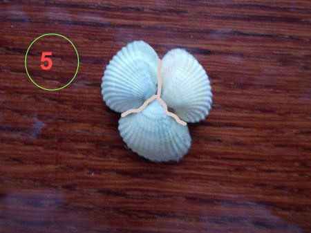 изделия из морских ракушек часть 2