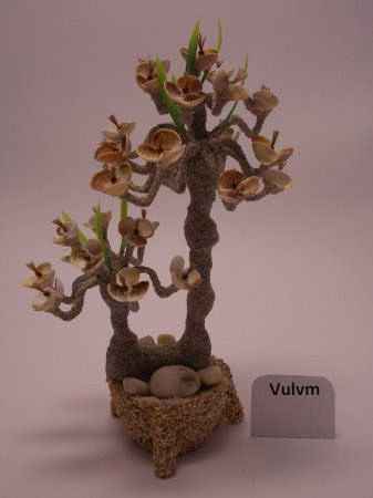 Мастер-класс. Деревья из морских ракушек.