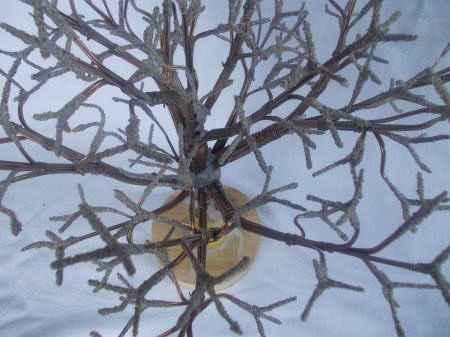 Мастер-класс. Деревья из морских ракушек -2