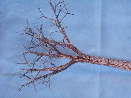 Мастер-класс. Деревья из морских ракушек.