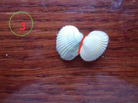 изделия из морских ракушек часть 2