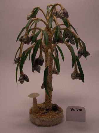 Мастер-класс. Деревья из морских ракушек.