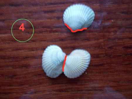изделия из морских ракушек часть 2