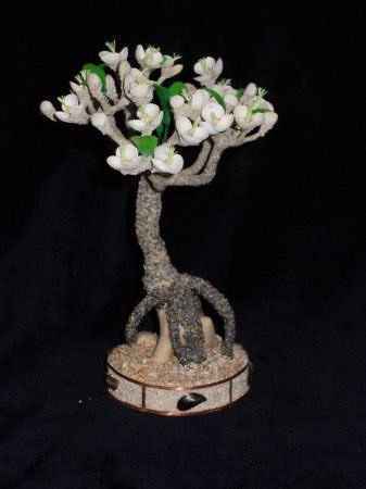 Мастер-класс. Деревья из морских ракушек.