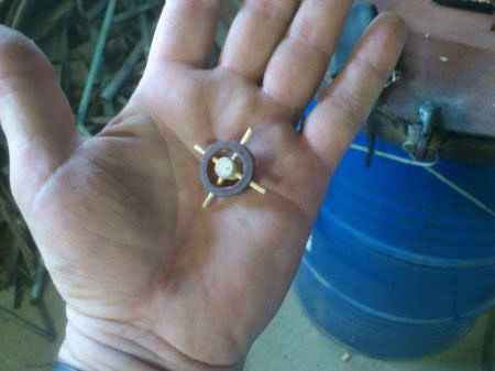 Фрегат "Арабелла"