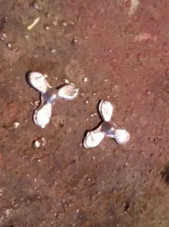 Линкор "Советский Союз"