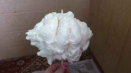 Церковь-Храм