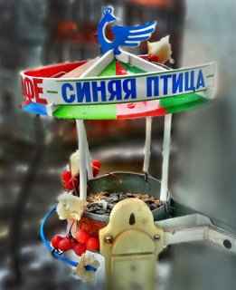 Кормушка для синичек своими руками